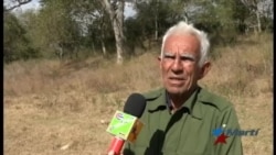 Sequía sofoca a campesinos y pobladores del Oriente de Cuba Sequía sofoca a campesinos y pobladores del Oriente de Cuba