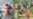 16x9 Image