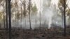 Imagen de uno de los focos apagados del incendio forestal en Pinares de Mayarí, publicada en Facebook por el periodista Emilio Rodríguez Pupo.