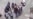 Liberados con fianza de 7 mil pesos familiares de presos del 11J detenidos en protesta frente a la Catedral (VIDEO)