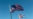 Funcionarios cubanos visitan esta semana instalaciones portuarias en EEUU; varios legisladores protestan