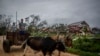 Una casa de tabaco destruida por el huracán Ian en Pinar del Río, Cuba. (AP/Ramon Espinosa)