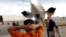 Una deportación aérea ejecutada por ICE. (Foto: Archivo REUTERS/Carlos Barria)