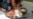 16x9 Image
