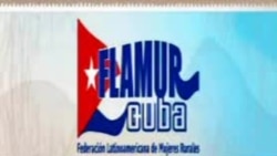 Actividad Cívica en Centro Habana "Con la Misma Moneda" Actividad Cívica en Centro Habana "Con la Misma Moneda"