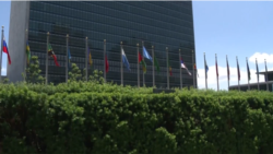 Crece rechazo a que Cuba ocupe lugar en consejo de DDHH de ONU Crece rechazo a que Cuba ocupe lugar en consejo de DDHH de ONU