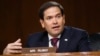 El senador Marco Rubio dio su apoyo a las nuevas sanciones de Estados Unidos contra el gobierno de Miguel Díaz-Canel.