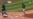 José Abreu y Ervin Santana en la cumbre de las Grandes Ligas