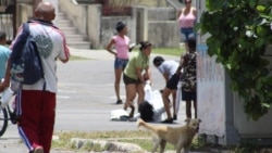 Arresto de la Dama de Blanco Berta Soler en La Habana Arresto de la Dama de Blanco Berta Soler en La Habana