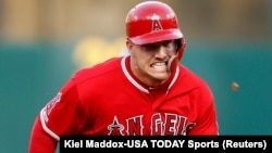Mike Trout.