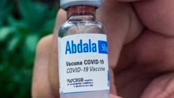 Activistas opinan desde La Habana sobre crisis de COVID-19 Activistas opinan desde La Habana sobre crisis de COVID-19
