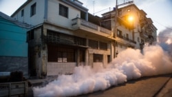 El estado cubano no tiene recursos para realizar una campaña efectiva de saniamiento ambiental. El estado cubano no tiene recursos para realizar una campaña efectiva de saniamiento ambiental.