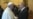 Putin y el Papa sostienen conversaciones "sustanciales" a la sombra de crisis en Ucrania