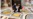 Trump, Biden, Zelenskyy y Milei entre las 200 mil personas que acuden a funeral del Papa (VIDEO)