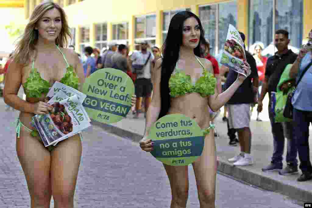 Las damas lechuga aseguran que en Cuba "no es difícil" el estilo de vida vegetariano.