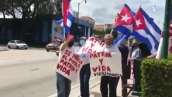 Caravana en Miami en respaldo a Patria y Vida Caravana en Miami en respaldo a Patria y Vida