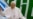 El Papa llegó a Portugal en el centenario de las apariciones de la Virgen de Fátima
